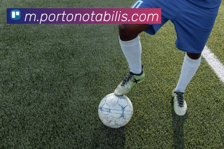星空体育全站APP 封面图